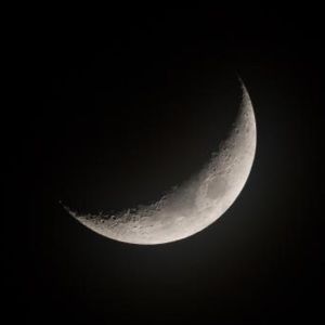 Meet your Posher, Travis